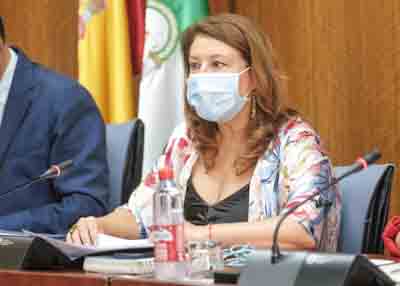 La consejera de Agricultura, Carmen Crespo, se dispone a iniciar su comparecencia en comisin 