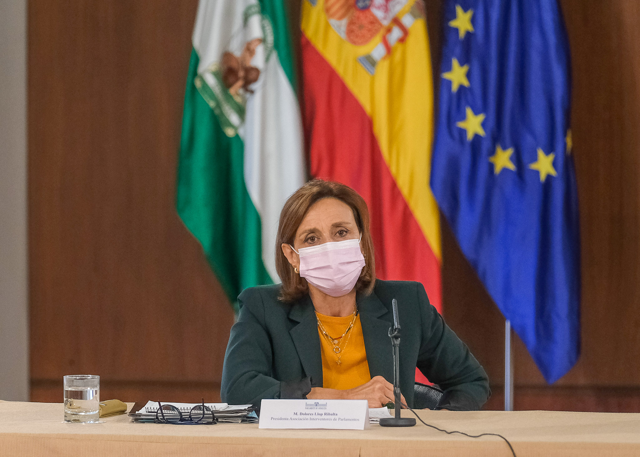 Dolores Llop, presidenta de la Asociacin de Interventores de Parlamentos, toma la palabra 