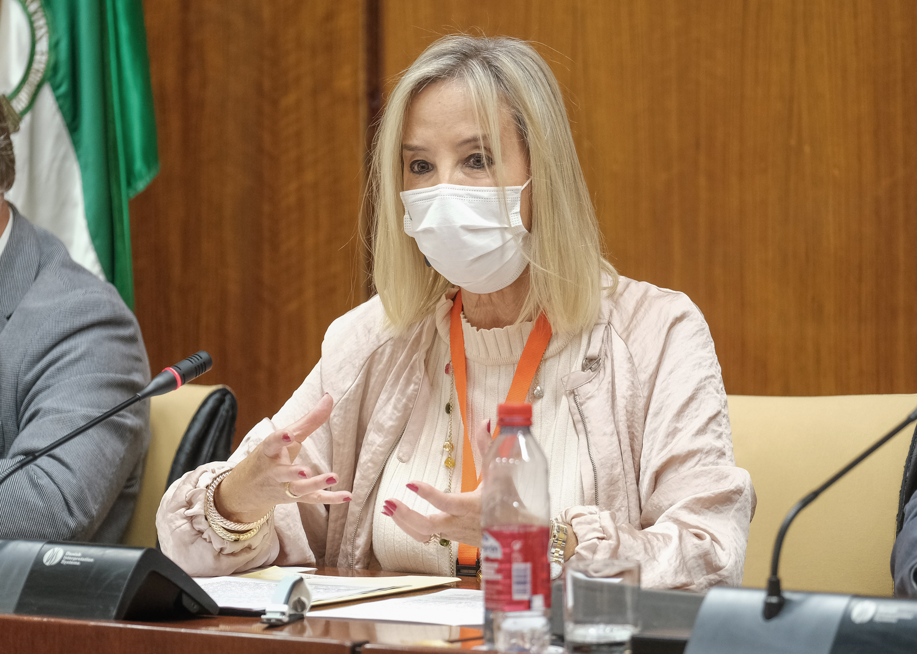  La fiscal superior de Andaluca, Ana Trrago, presenta la memoria anual de la Fiscala ante la Comisin de Justicia 