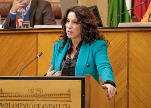 Roco Ruiz, consejera de Igualdad y Polticas Sociales, solicita la convalidacin del decreto-ley de flexibilizacin administrativa en relacin con las ayudas a la Renta Mnima de Insercin Social en Andaluca