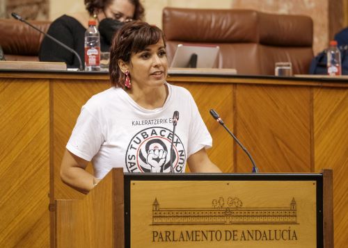  Teresa Rodrguez, diputada no adscrita, interviene en el debate del proyecto de ley de alojamientos tursticos