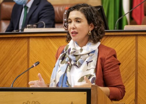  Noelia Ruiz defiende la Proposicin No de Ley relativa a la garanta de los servicios pblicos esenciales presentada por el Grupo Socialista