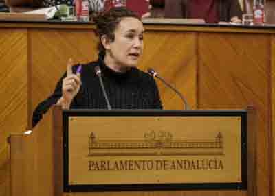 Ana Mara Naranjo, portavoz adjunta de Unidas Podemos por Andaluca 