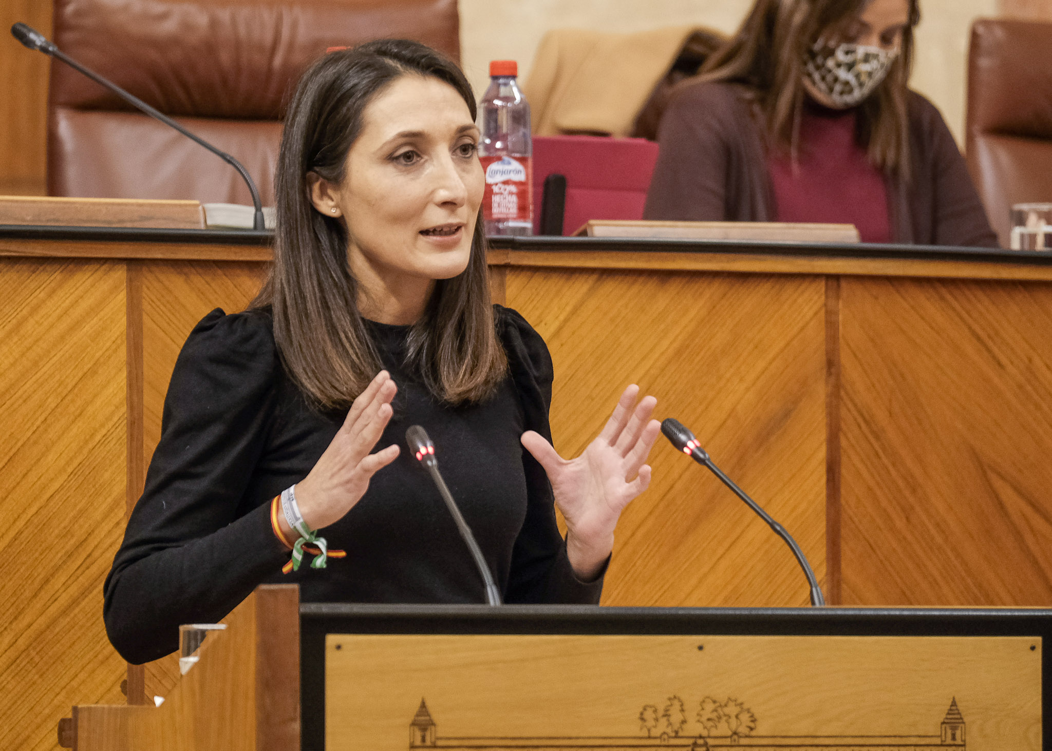 Mnica Moreno, portavoz adjunta del Grupo Ciudadanos, expresa la posicin de su grupo sobre un decreto ley 