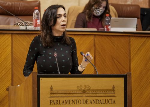  Teresa Pardo, de Ciudadanos, interviene en el debate de las enmiendas a la totalidad del Presupuesto