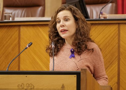  Ana Villaverde, diputada no adscrita, interviene en el debate del proyecto de ley