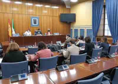 Los diputados de la Comisin de Investigacin Fundacin Andaluza Fondo de Formacin y Empleo (FAFFE) 