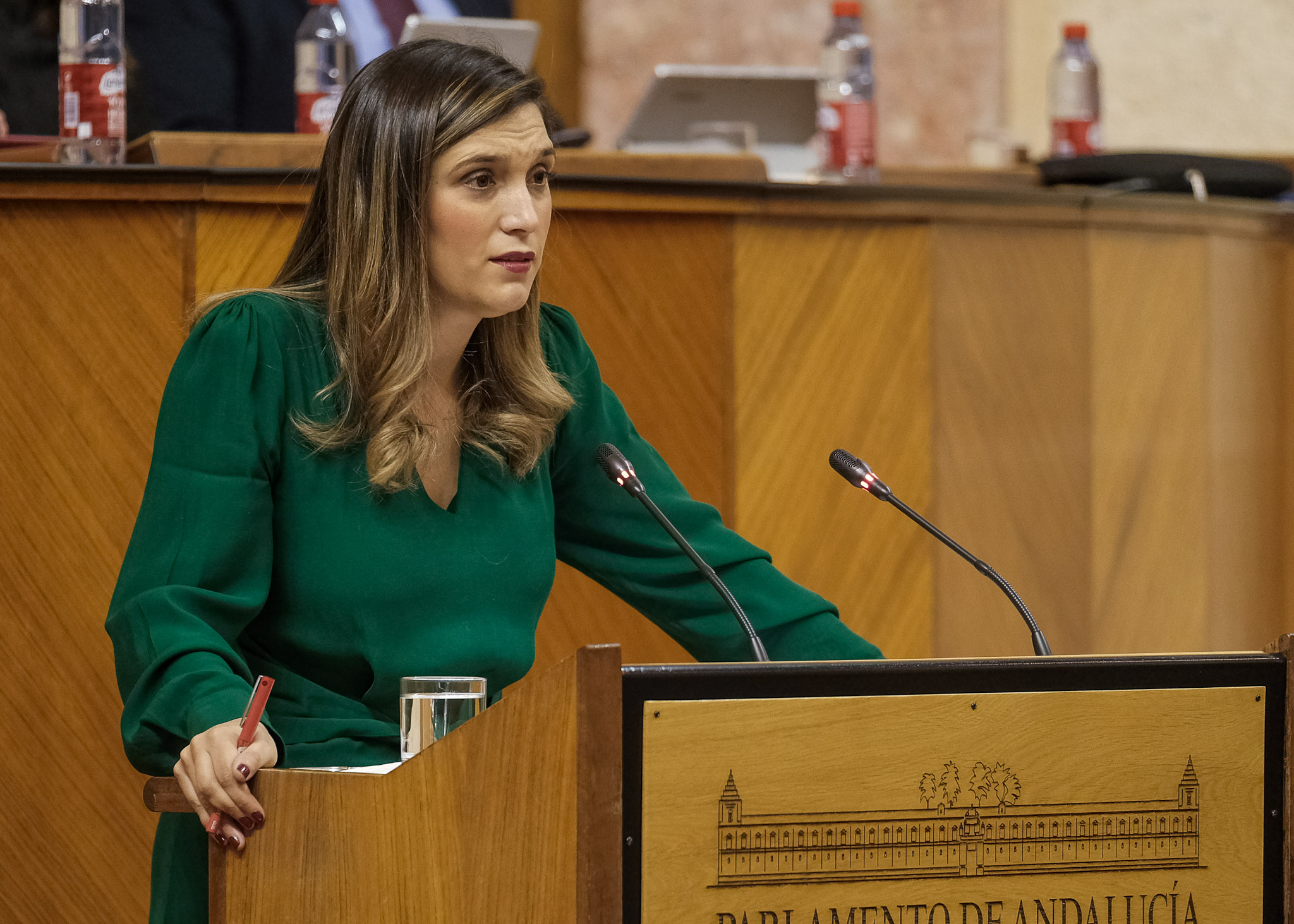  Mara Mrquez posiciona al Grupo Socialista en la toma en consideracin de la Proposicin de Ley de Concordia