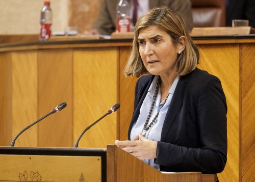  La consejera de Empleo, Formacin y Trabajo Autnomo, Roco Blanco, comparece para informar sobre la repercusin y efectos de los planes de empleo articulados por el Gobierno en esta Legislatura