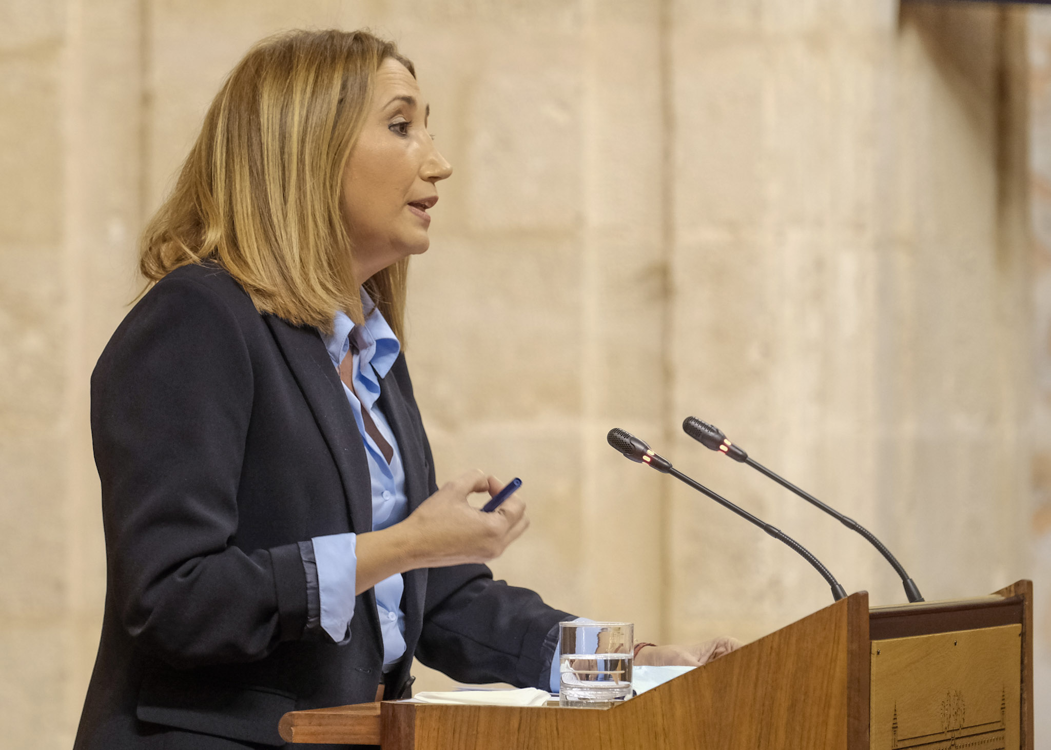 Carmen Dolores Velasco, del G.P. Socialista, defiende una proposicin no de ley relativa a intensificacin, actualizacin y cualificacin de la atencin a la dependencia en Andaluca