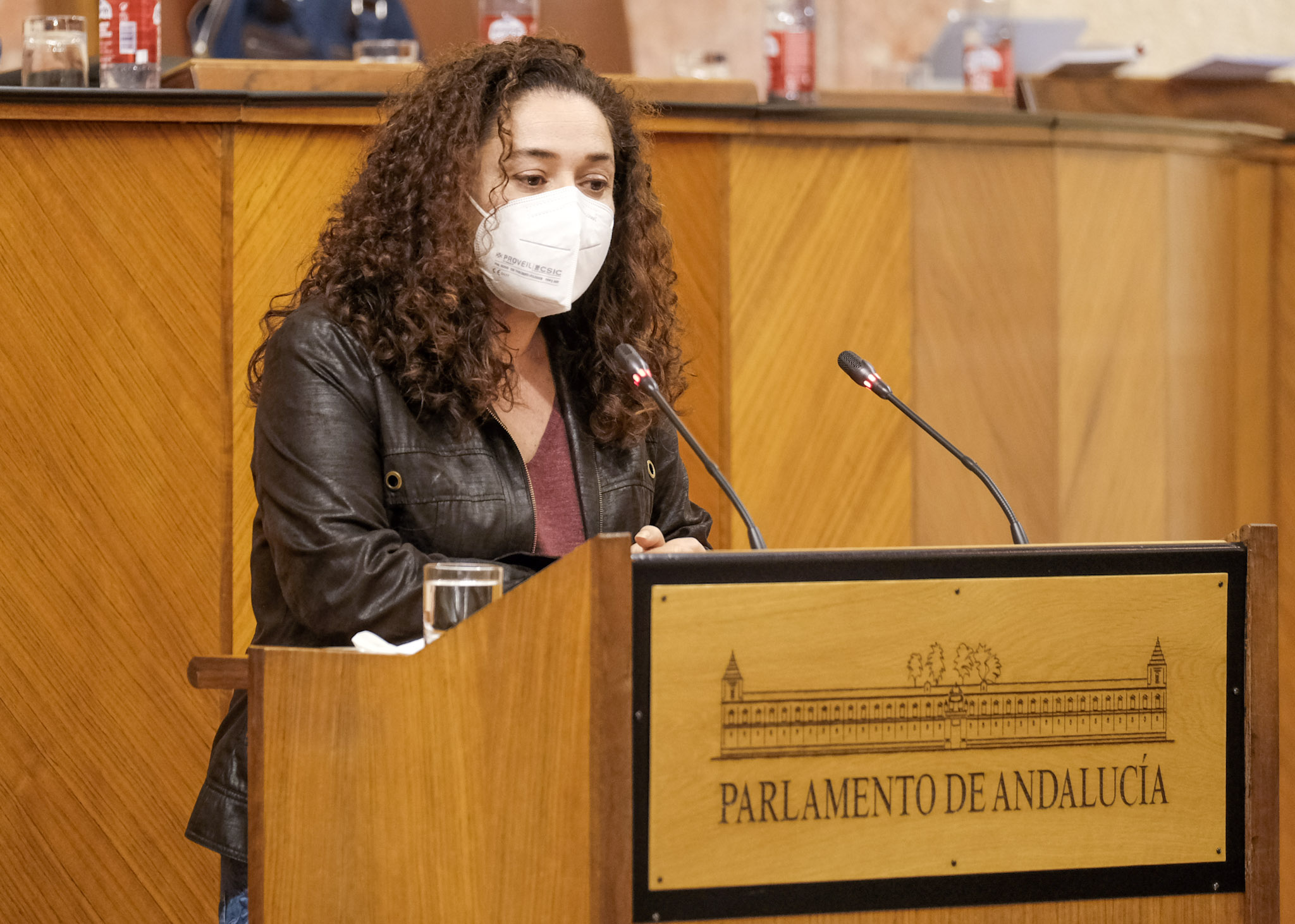  Inmaculada Nieto, de Unidas Podemos por Andaluca, toma la palabra en el decreto de simplificacin administrativa