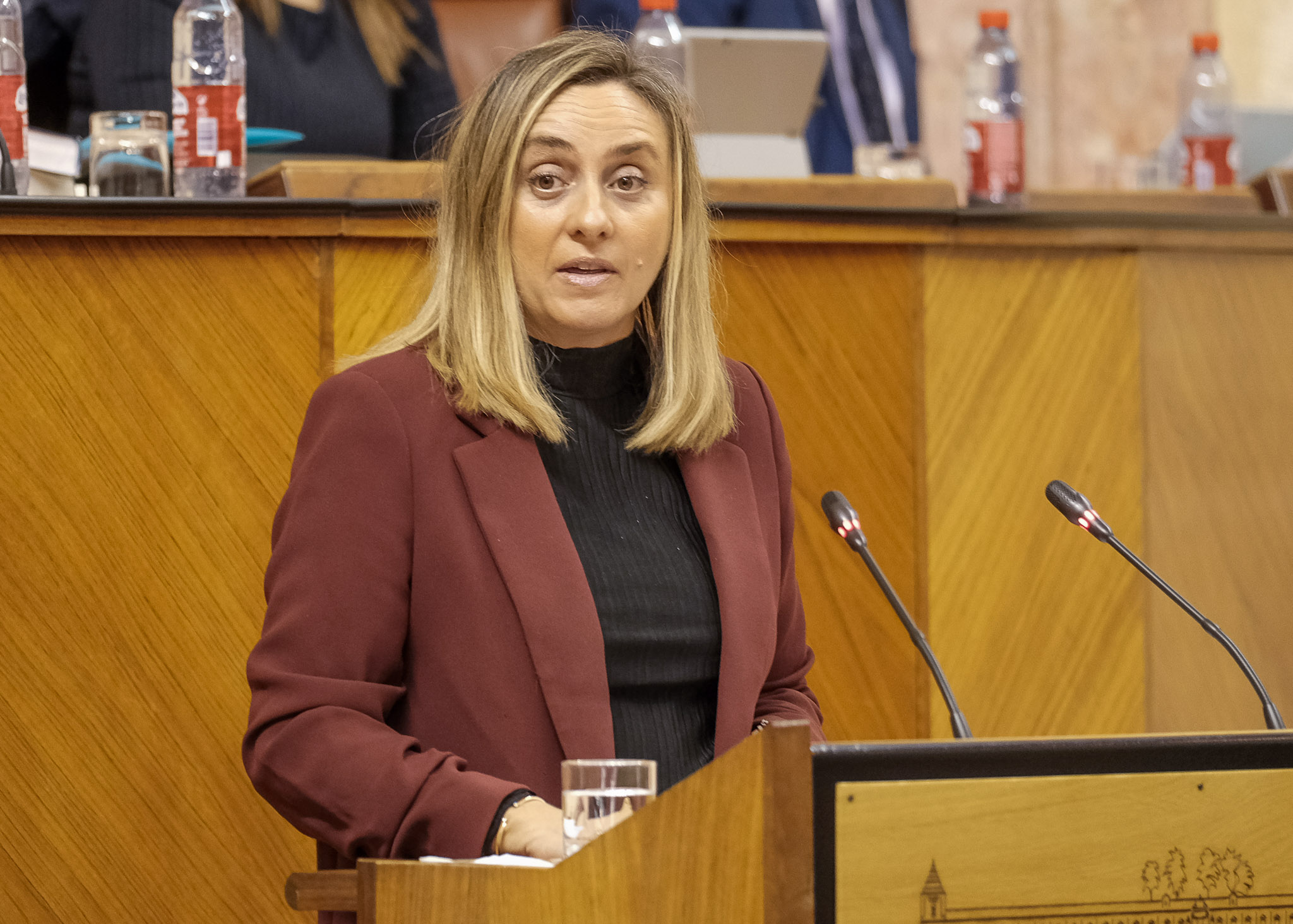   Marifrn Carazo, consejera de Fomento, Infraestructuras y Ordenacin del Territorio, interviene en el debate sobre el acuerdo entre la Consejera y la entidad Dehesa del Norte, S.L.