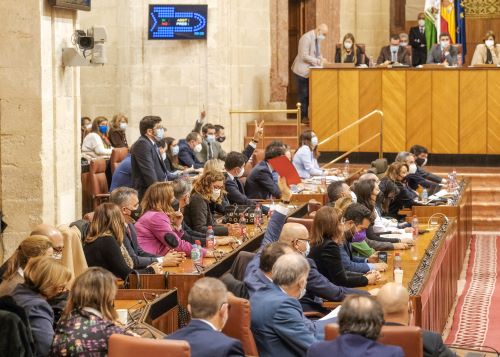   Momento de las votaciones realizadas hoy en el pleno