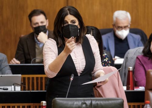  �ngeles Ferriz, portavoz socialista, pregunta al presidente sobre las medidas ante la situaci�n de la atenci�n sanitaria en Andaluc�a