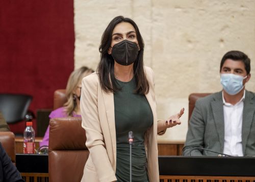  Por Ciudadanos interviene Teresa Pardo con la pregunta relativa a la situaci�n de la sanidad andaluza