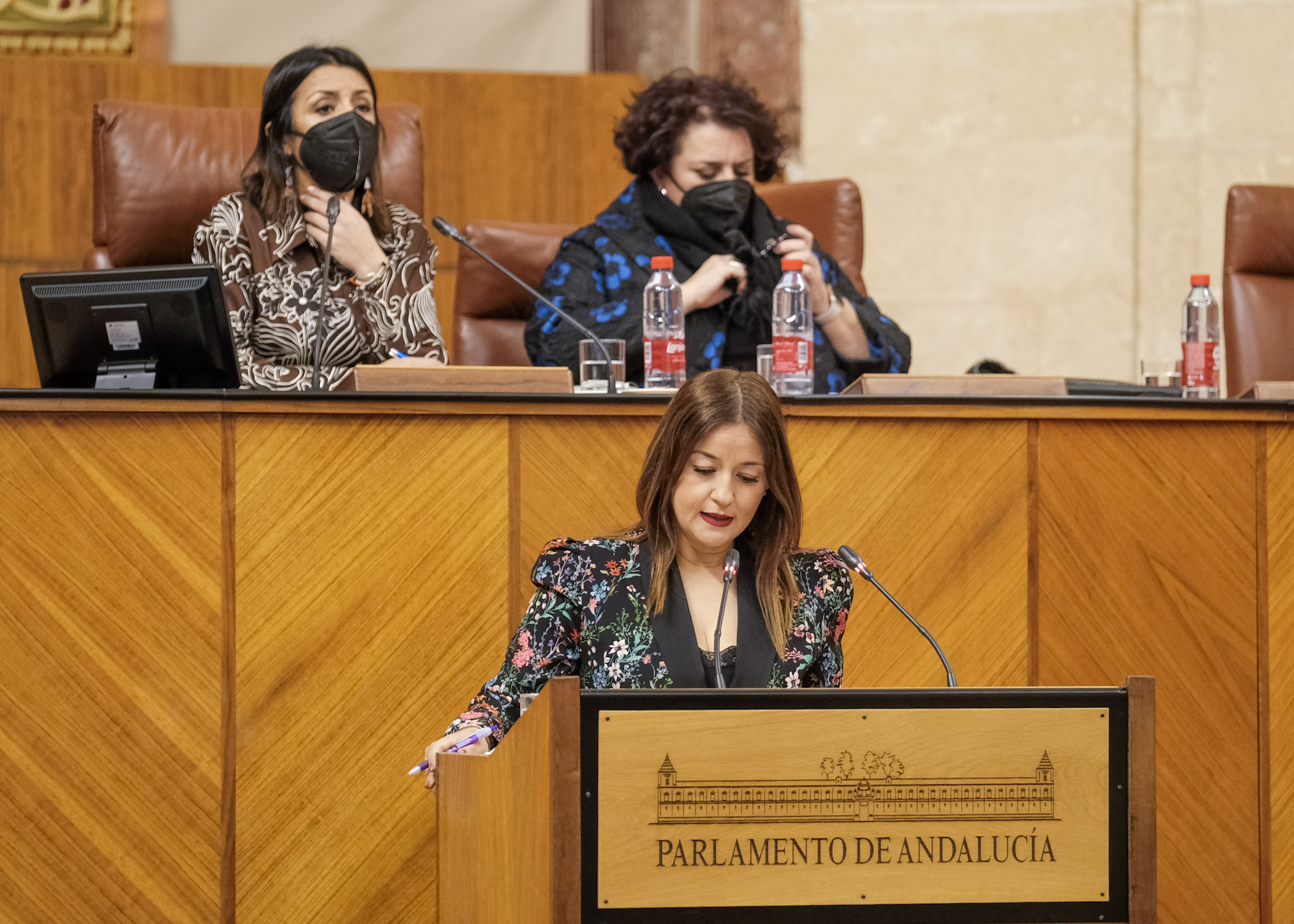 Ver�nica P�rez, secretaria primera de la Mesa, informa al Pleno sobre los asuntos tratados y las decisiones adoptadas de la Diputaci�n Permanente en el mes de enero