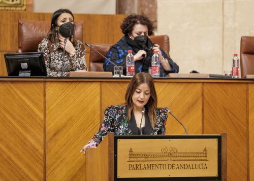  Ver�nica P�rez, secretaria primera de la Mesa, informa al Pleno sobre los asuntos tratados y las decisiones adoptadas de la Diputaci�n Permanente en el mes de enero