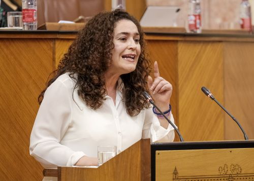  Inmaculada Nieto, de Unidas Podemos por Andaluc�a, posiciona a su grupo en la toma en consideraci�n de la proposici�n de ley de mejora de regad�os