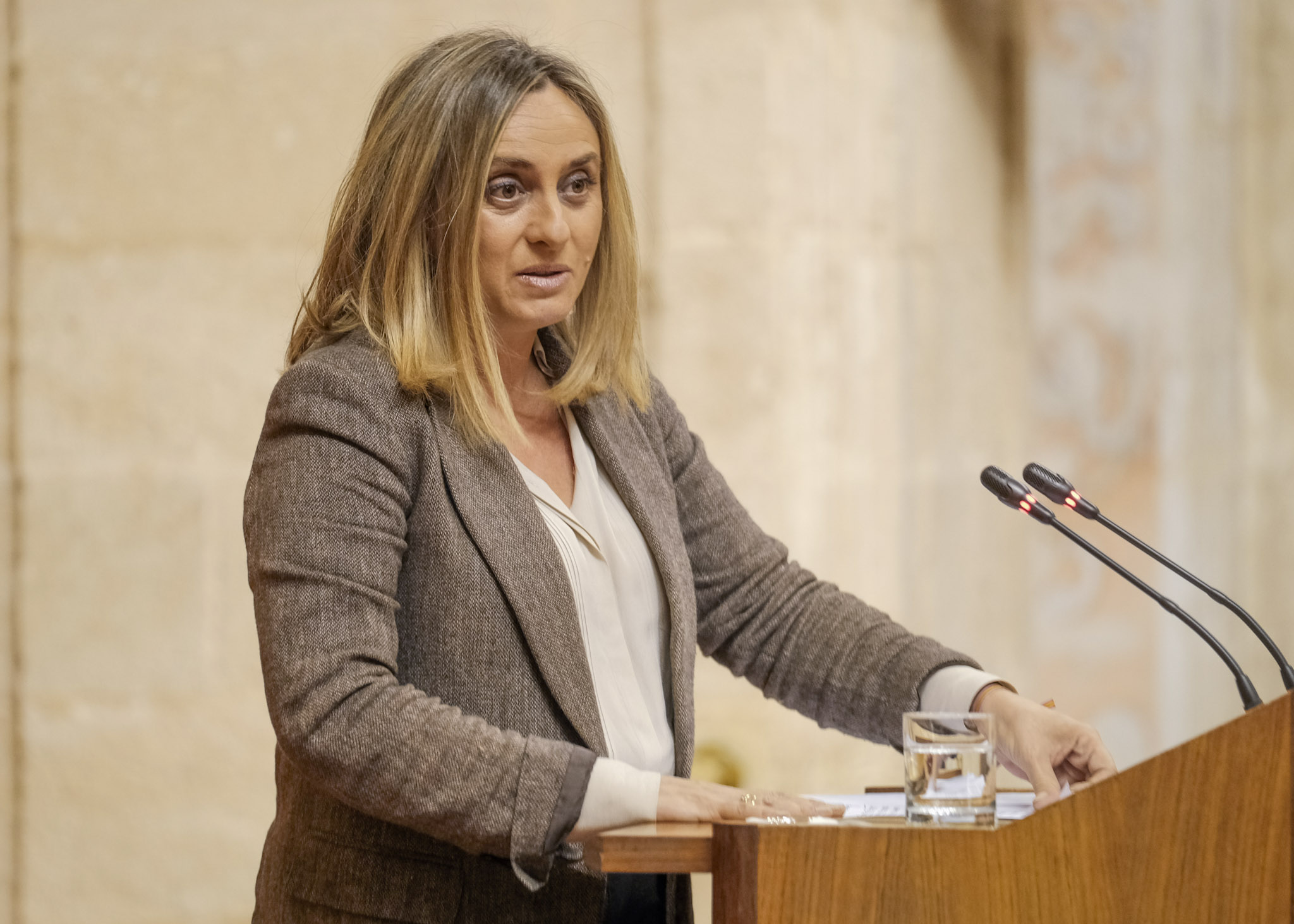  Marifr�n Carazo, consejera de Fomento, Infraestructuras y Ordenaci�n del Territorio, comparece para informar sobre incidencia y repercusiones del Bono de Alquiler Joven en Andaluc�a