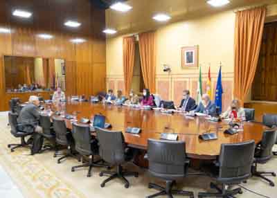  La Comisin de Transformacin Econmica aborda la comparecencia de agentes sociales en relacin con la tramitacin del Proyecto de Ley por el que se aprueba el Plan Estadstico y Cartogrfico de Andaluca 2021-2027   