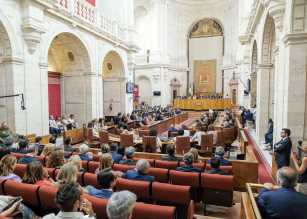  Imagen del Pleno durante la sesi�n de investidura
