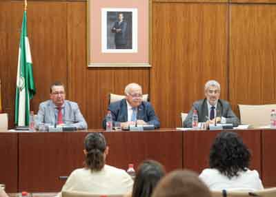 El presidente del Parlamento, Jess Aguirre, acompaado por el secretario primero de la Mesa, Manuel Andrs Gonzlez, y el letrado mayor, ngel Marrero 