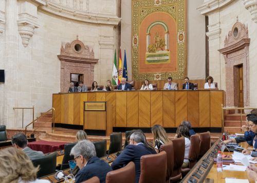  Mesa del Parlamento al inicio de la sesin