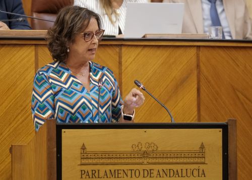  Catalina Garca, consejera de Salud y Consumo, durante su comparecencia para informar sobre la atencin sanitaria en Andaluca