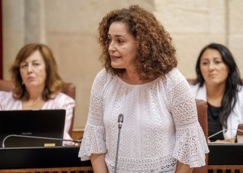   Inmaculada Nieto, portavoz del Grupo Parlamentario Por Andaluca, formula la pregunta dirigida al presidente relativa a la actividad poltica del Consejo de Gobierno