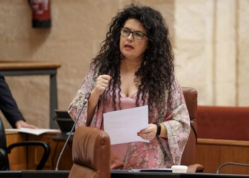  Isabel Mora, del Grupo Mixto-Adelante Andaluca, pregunta por los cortes de suministro elctrico en barrios obreros de Sevilla y Granada