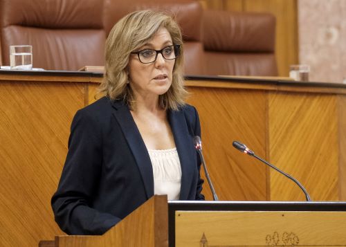 La diputada del Grupo Socialista Ana Mara Romero defiende la creacin de un grupo de trabajo para combatir la sequa