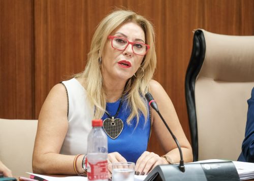  Carolina España, consejera de Economía, Hacienda y Fondos Europeos, informa en comisión sobre las líneas generales de actuación en la presente legi