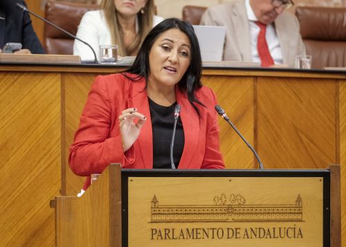  Alejandra Durn interviene representando a Por Andaluca en el debate de convalidacin del decreto-ley presentado por la consejera de Desarrollo Educativo