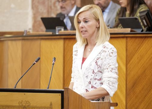  Blanca Armario, presidenta del G.p. Vox, interviene en el debate sobre la convalidacin del primer decreto-ley presentado en la tarde de hoy