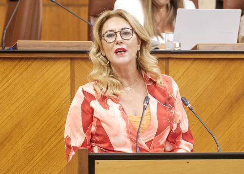  La consejera de Economa, Hacienda y Fondos Europeos, Carolina Espaa, solicita la convalidacin del decreto-ley relativo a tributos cedidos 