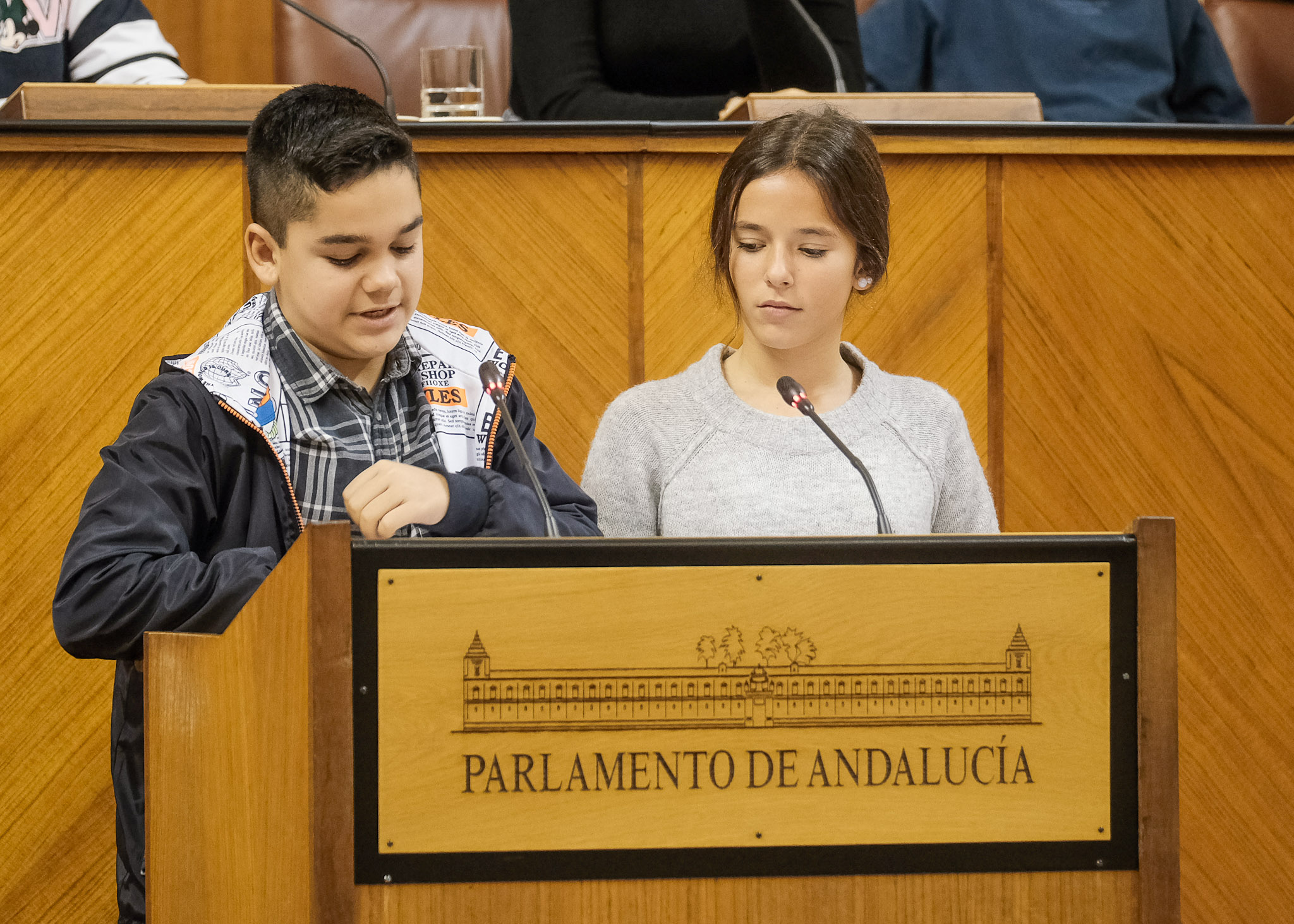  Presentacin de sus propuestas por parte de los diputados