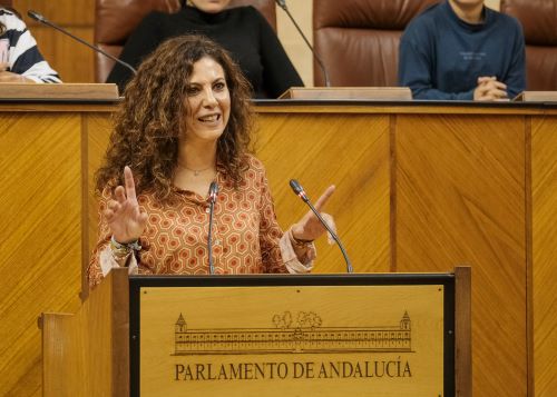  Ana Mara Ruiz, diputada del Grupo parlamentario VOX, se dirige a los jvenes diputados en el pleno de UNICEF