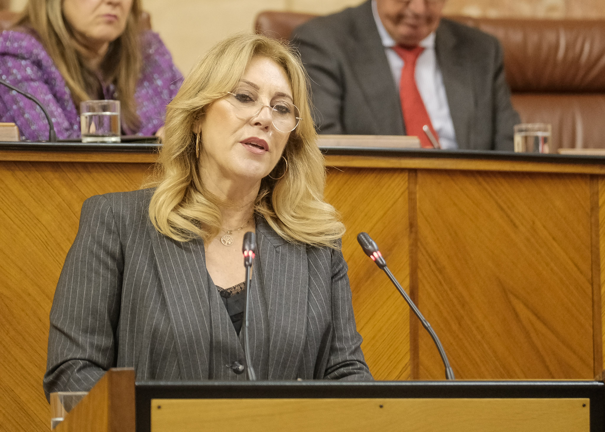  Carolina Espaa, consejera de Economa, Hacienda y Fondos Europeos, presenta  ante el Pleno el Proyecto de Ley del Presupuesto de la Comunidad Autnoma de Andaluca para el ao 2023  