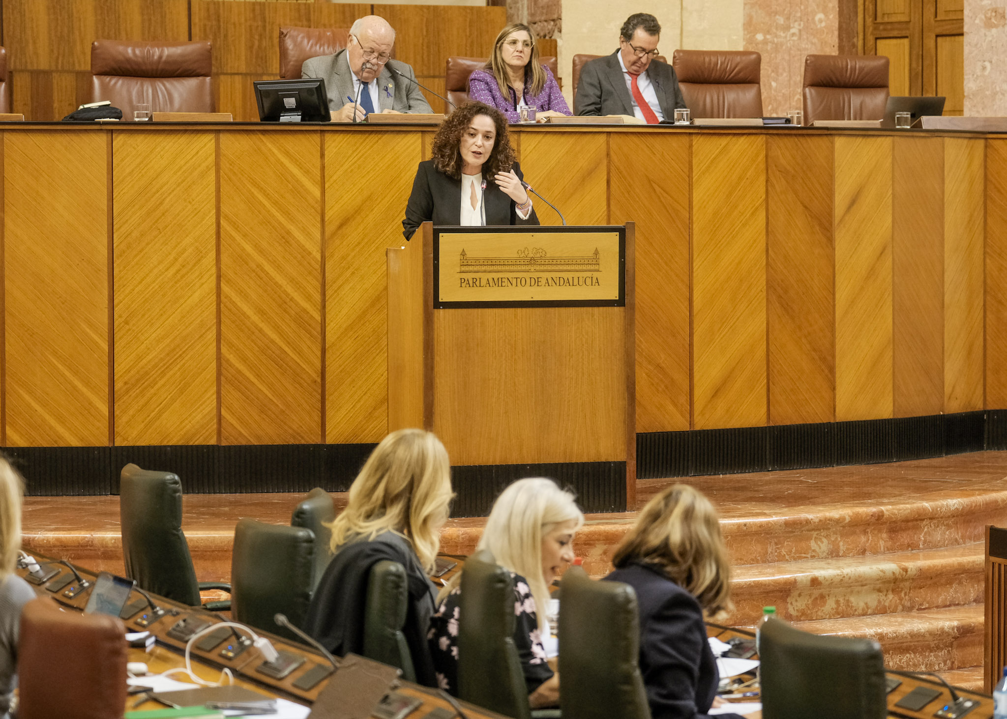  Inmaculada Nieto, del G.P. Por Andaluca, se dirige a la consejera de Economa, Hacienda y Fondos Europeos en el debate de totalidad