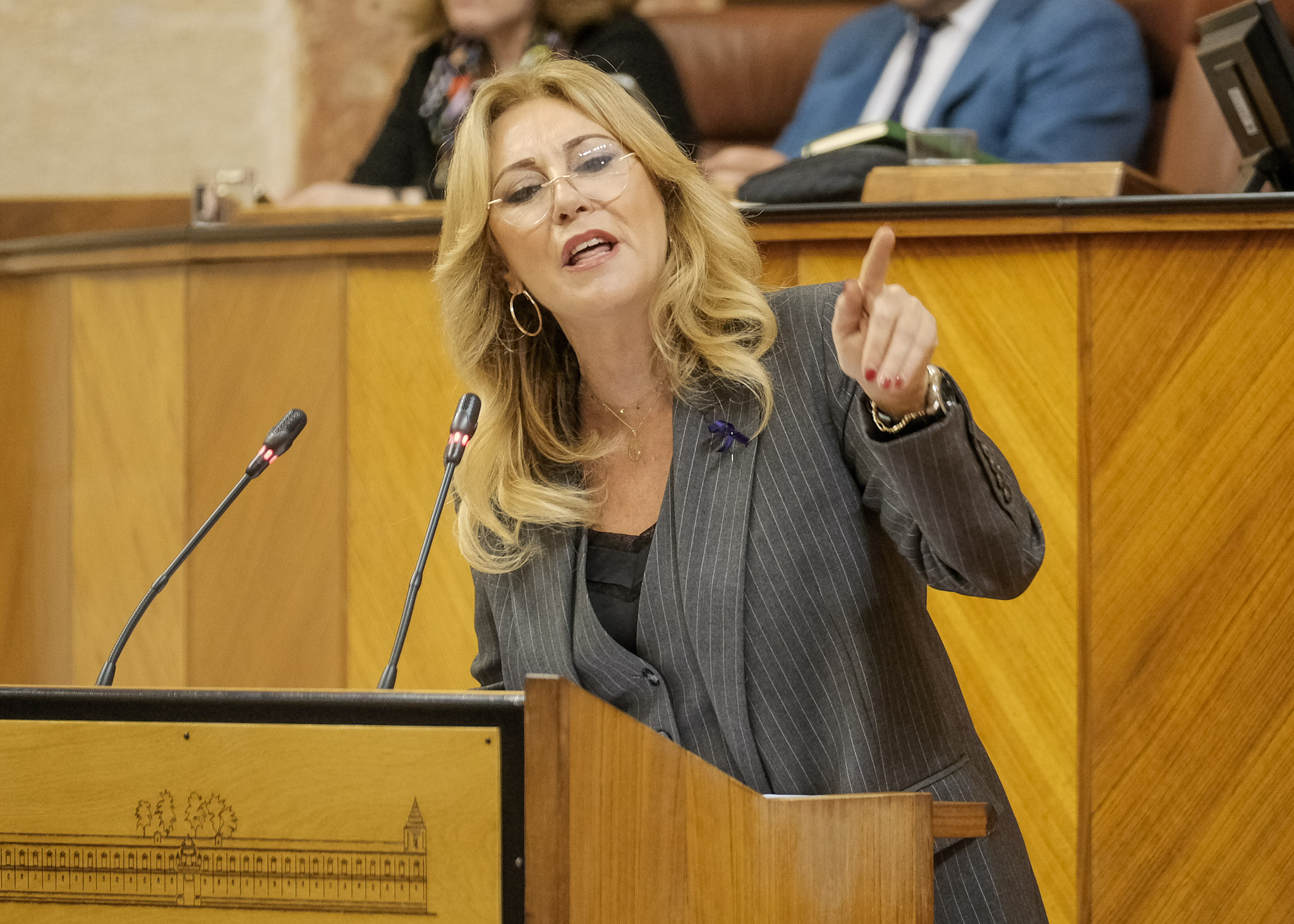 Carolina Espaa, consejera de Economa, durante el debate de totalidad del proyecto de ley del presupuesto 