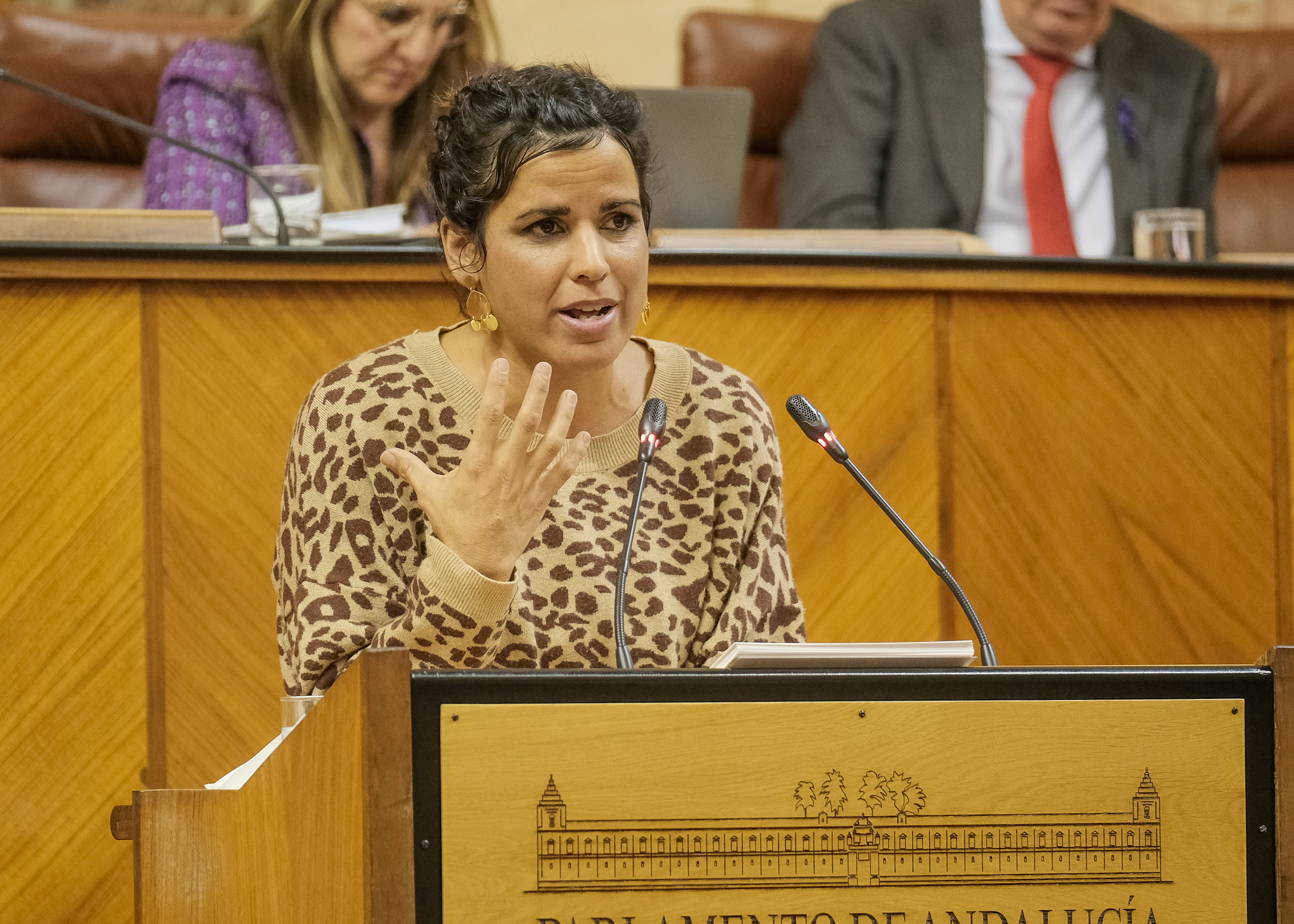 Teresa Rodrguez, portavoz del G.P. Mixto-Adelante Andaluca, argumenta la defensa de la enmienda de totalidad al proyecto de ley del presupuesto que ha presentado su grupo 