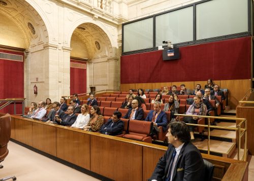  Tribuna de pblico durante el debate de totalidad del proyecto de ley del presupuesto de Andaluca 