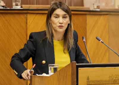   La diputada del Grupo Socialista Olga Manzano presenta una mocin en Pleno relativa a poltica general en materia de violencia de gnero 