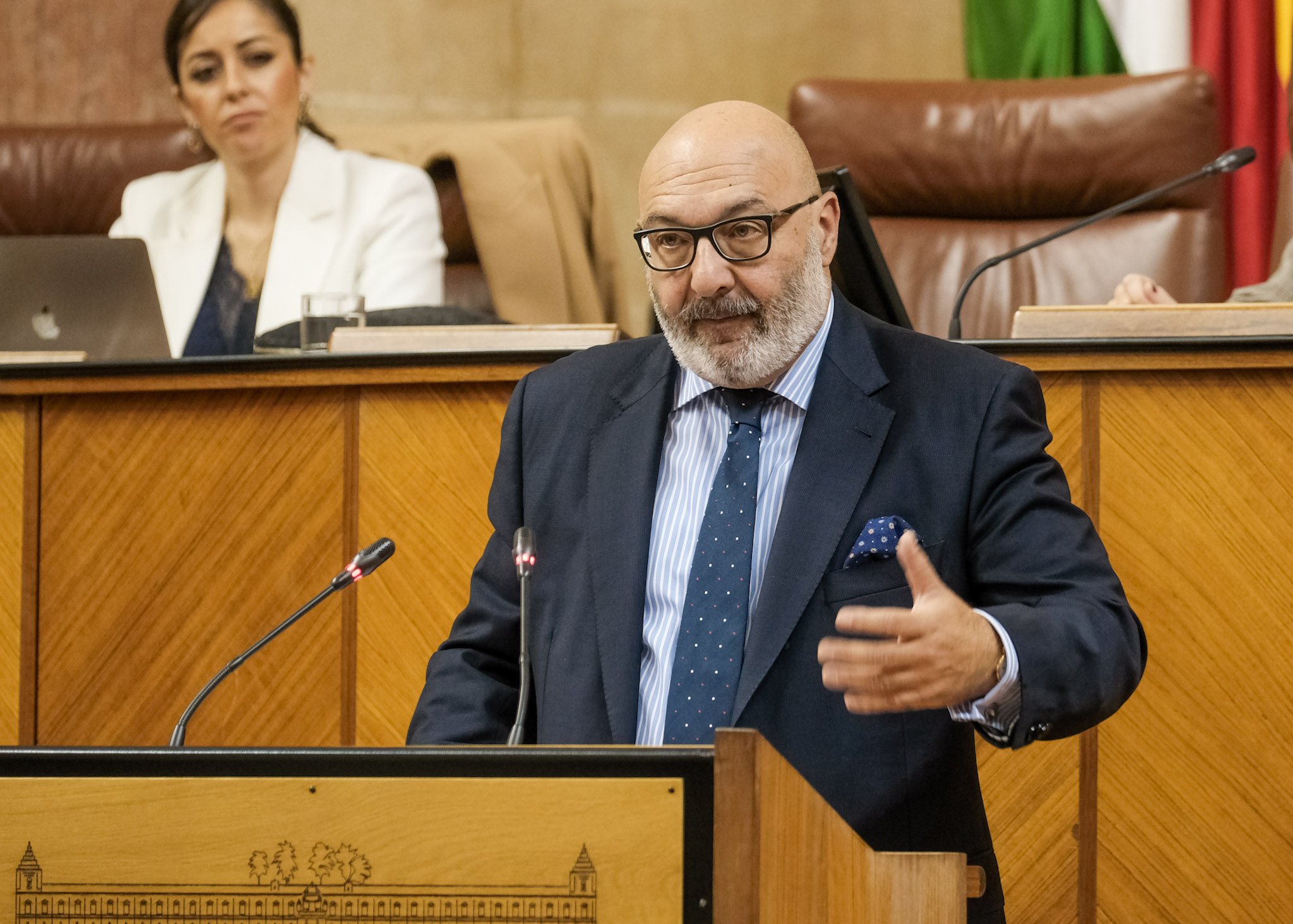 Por el Grupo Vox en Andaluca, el diputado Alejandro Hernndez formula una interpelacin relativa a poltica general en materia de vivienda 