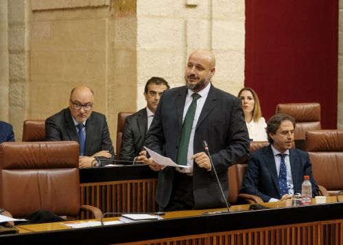  Rodrigo Javier Alonso, portavoz adjunto del Grupo Vox, pregunta sobre los desequilibrios salariales en Andaluca  