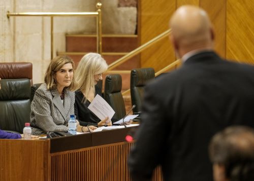 Roco Blanco, consejera de Empleo, Empresas y Trabajo Autnomo, escucha al diputado 