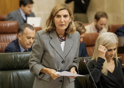 La consejera de Empleo, Roco Blanco, responde a la cuestin que le plantean