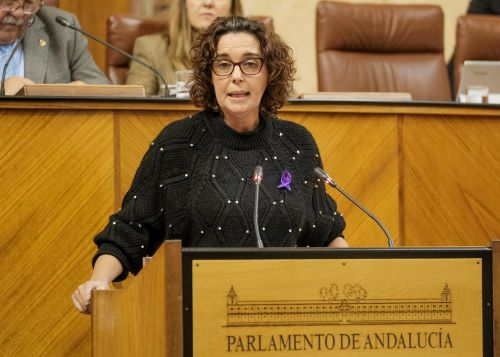  Susana Rivas, diputada del Grupo Socialista, defiende la proposicin no de ley relativa a universalizacin y gratuidad de los comedores escolares