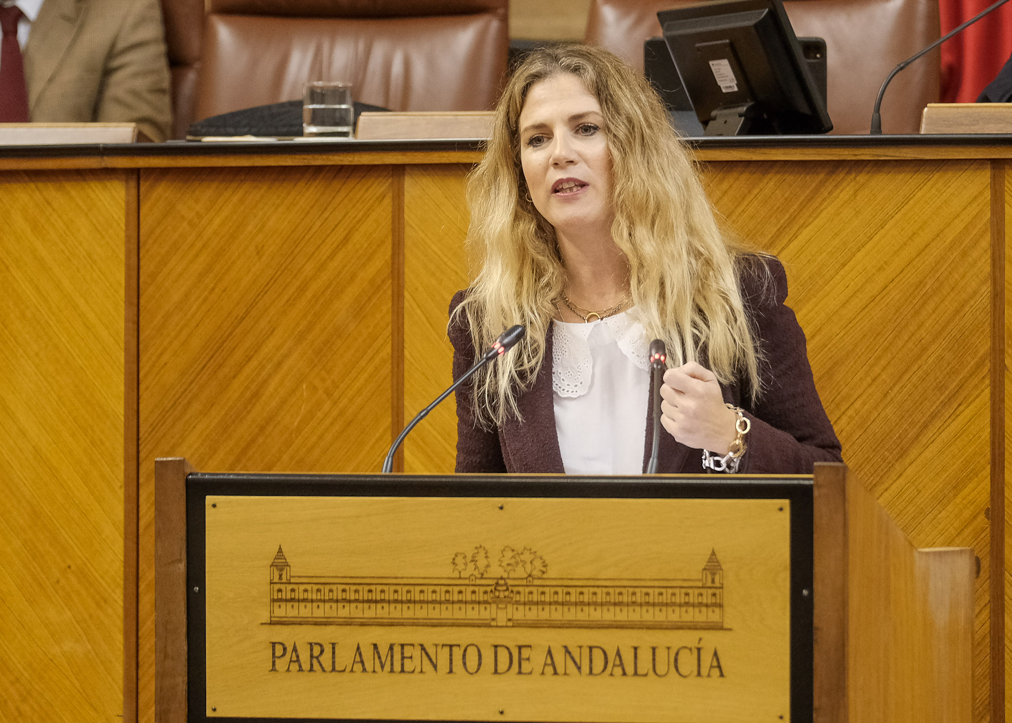 Ana Mara Mestre, vicepresidenta primera, posiciona al Grupo Popular en el debate final de la Ley del Presupuesto de Andaluca para 2023