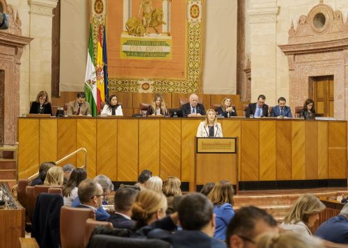 La consejera de Economa, Hacienda y Fondos Europeos, Carolina Espaa, interviene en la sesin plenaria tras aprobarse los presupuestos para el ao 2023